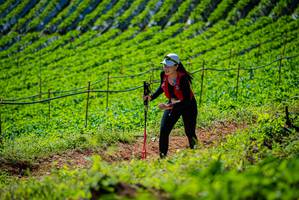 BIB: 
                            <button type="button" onclick="openModal(19162740)" class="btn btn-primary btn-sm float-right btn-popup" data-toggle="modal" data-target=".modal-high-quality">
                        <i class="fas fa-shopping-cart"></i> Add to Cart
                    </button>
                                            <button type="button" onclick="isThisMe(19162740, true)" class="btn btn-success btn-sm float-right btn-popup btn-isme hidden" data-toggle="tooltip" data-placement="bottom" title="นี่คือรูปของคุณใช่ไหม คลิกที่นี่เพื่อเอาเข้าอัลบั้ม">
                        <i class="fas fa-plus"></i> Add to album
                    </button>
                    <button type="button" onclick="isThisMe(19162740, false)" class="btn btn-warning btn-sm float-right btn-popup btn-isnotme hidden">
                        <i class="fas fa-ban"></i> Remove from album
                    </button>